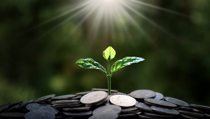 Create net-zero development bank to spur post-Brexit low-carbon transition, MPs urge