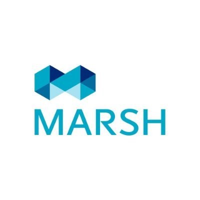 Marsh Appoints Tamara Simpkins Franklin as Chief Digital, Data, and Analytics Officer