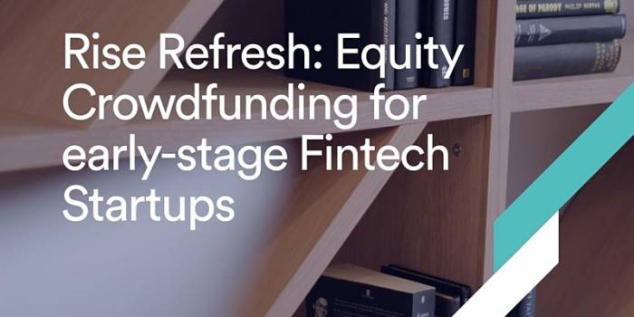 Equity Crowdfunding for early-stage Fintech Startups